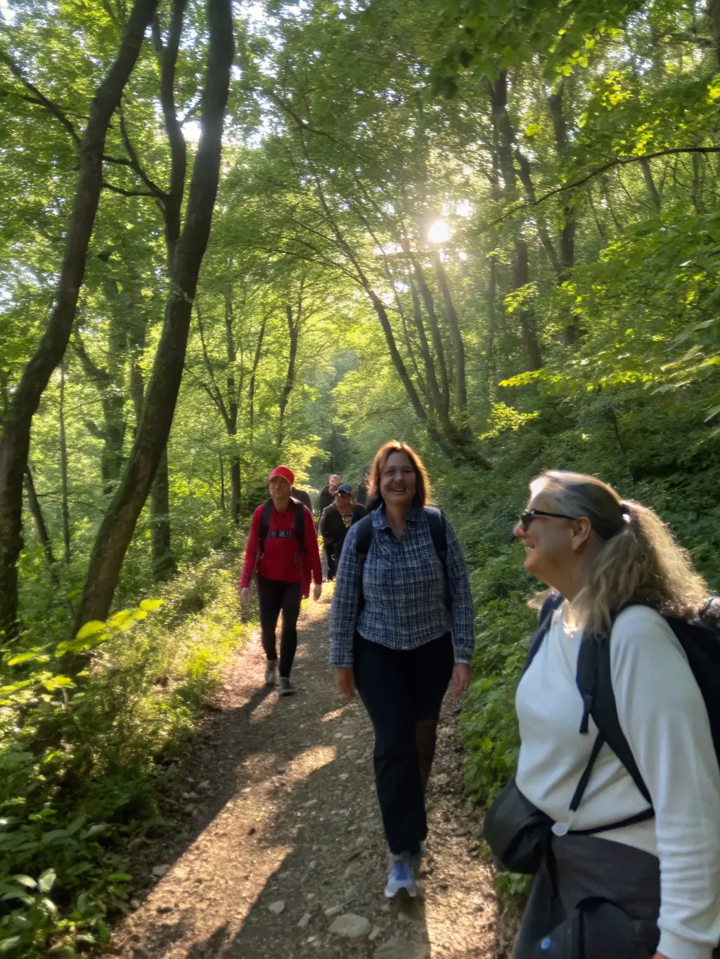 A group of hikers walking through a lush forest trail, sunlight filtering through the trees, representing a guided hike program offered by RANDONNEE DES MILLE SOURCES.